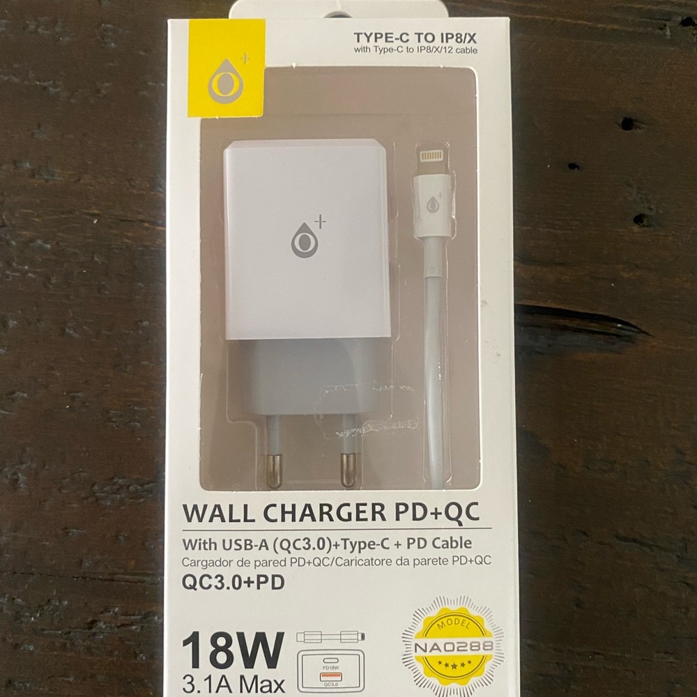 International Wall Charger